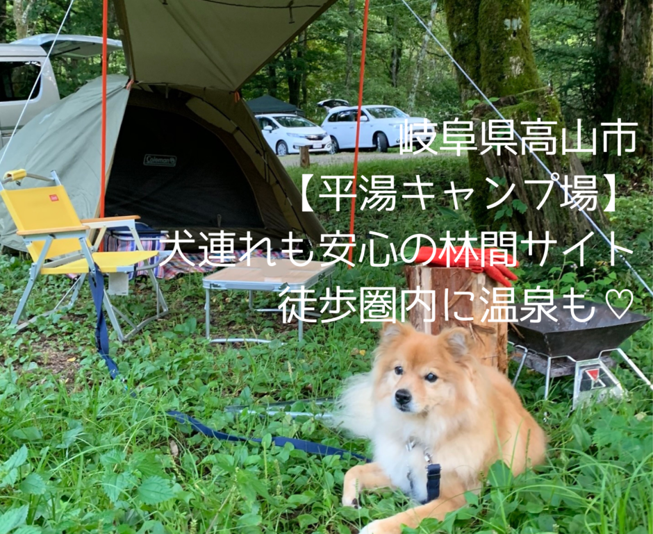 平湯キャンプ場 犬連れ向きの林間サイト 温泉徒歩圏内でペットを車で待たせず安心