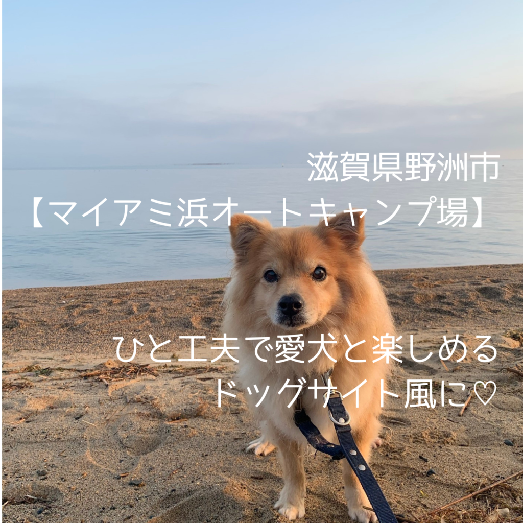 マイアミ浜オートキャンプ場 愛犬とひと工夫でドッグサイト風に 琵琶湖散歩も最高